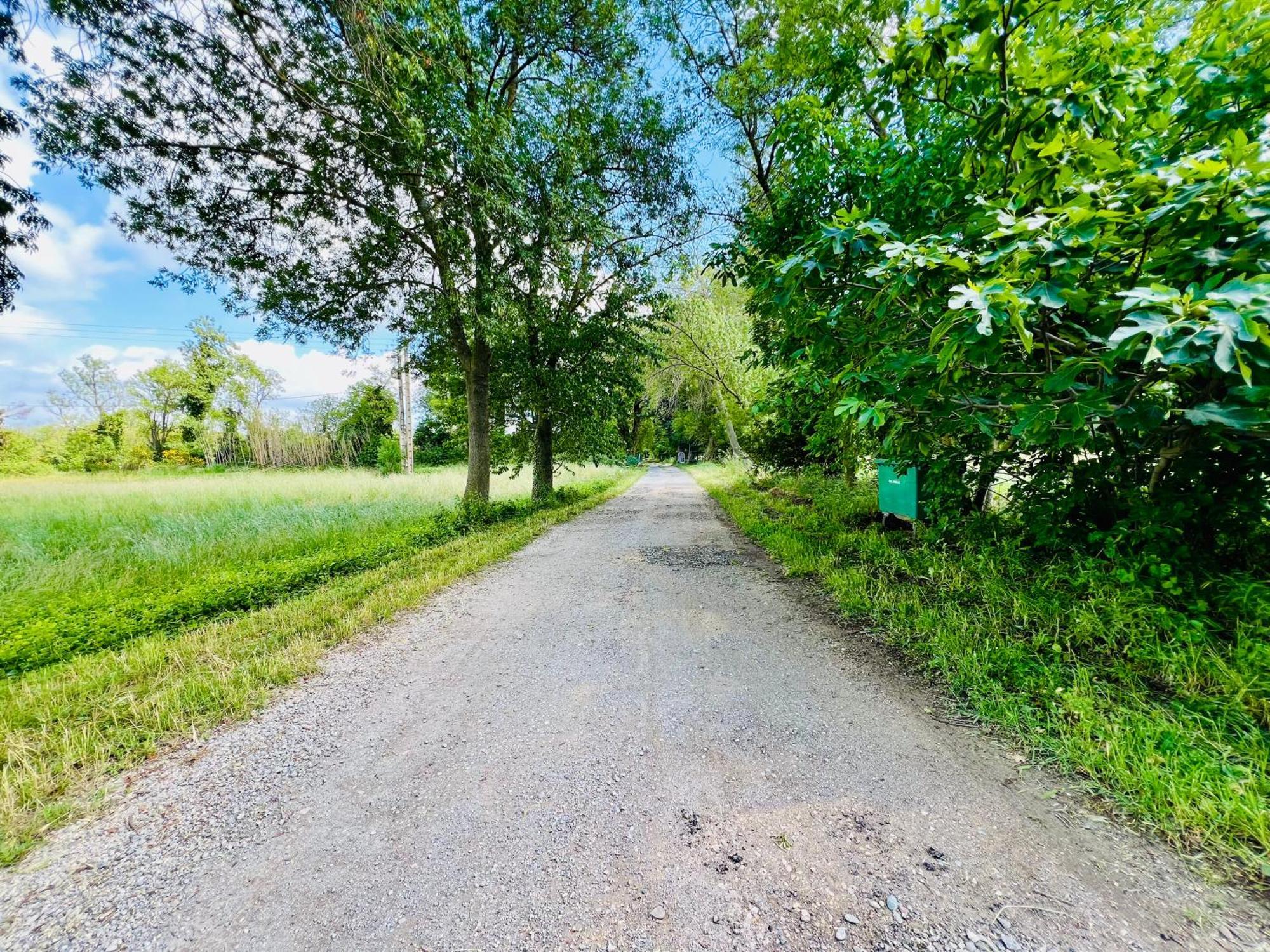 Le Moun Mazet Gite Rural 3 Etoiles, Clim, Nature, 6 Personnes Miramas Eksteriør bilde